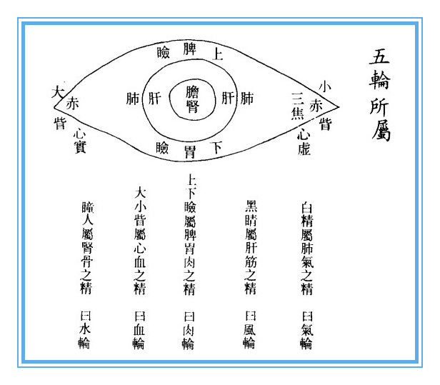 图片[1]-明目至宝：[元]-中医经典古籍眼科传世著作-简易诗书