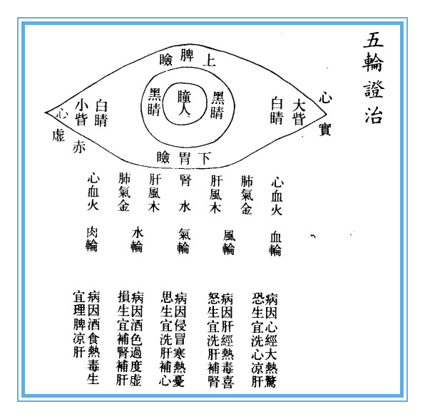 图片[2]-明目至宝：[元]-中医经典古籍眼科传世著作-简易诗书